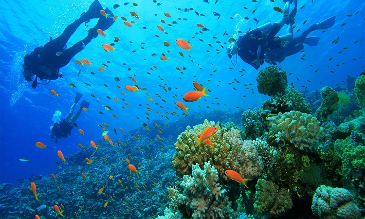 6-Thrilling-Water-Sports-In-Andaman-Which-Require-No-Swimming