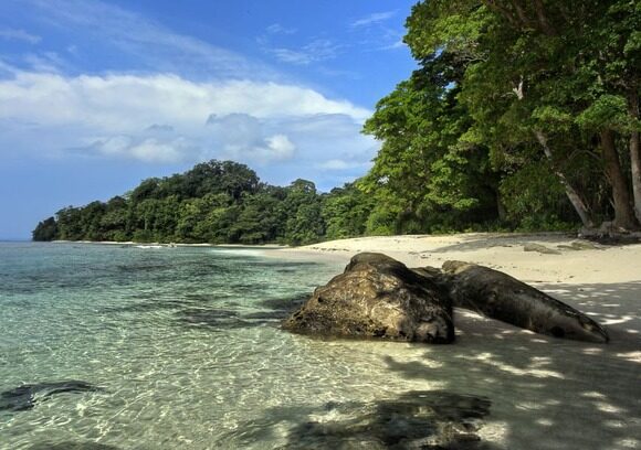 Cultural Side of Andaman: Tribes, Museums & Historical Stories You Should Know